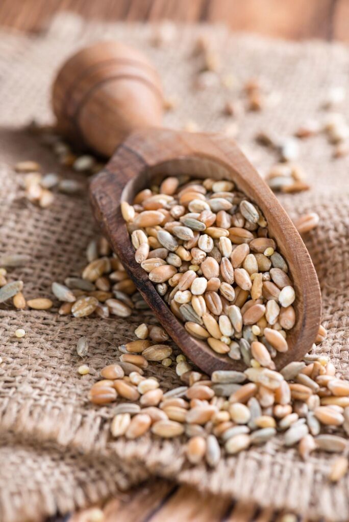 organic multigrain flour in karnal